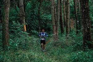 BIB: 
                            <button type="button" onclick="openModal(25237350)" class="btn btn-primary btn-sm float-right btn-popup" data-toggle="modal" data-target=".modal-high-quality">
                        <i class="fas fa-shopping-cart"></i> Add to Cart
                    </button>
                                            <button type="button" onclick="isThisMe(25237350, true)" class="btn btn-success btn-sm float-right btn-popup btn-isme hidden" data-toggle="tooltip" data-placement="bottom" title="นี่คือรูปของคุณใช่ไหม คลิกที่นี่เพื่อเอาเข้าอัลบั้ม">
                        <i class="fas fa-plus"></i> Add to album
                    </button>
                    <button type="button" onclick="isThisMe(25237350, false)" class="btn btn-warning btn-sm float-right btn-popup btn-isnotme hidden">
                        <i class="fas fa-ban"></i> Remove from album
                    </button>